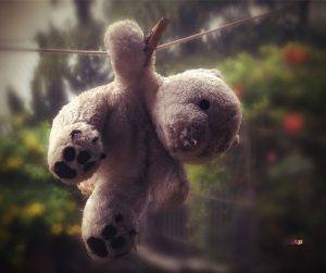 Featured image of teddy bear on wire